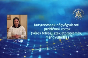 Kutyusomnak nőgyógyászati problémái voltak (véres folyás, székletproblémák, méhgyulladás) – Héjj Ivett